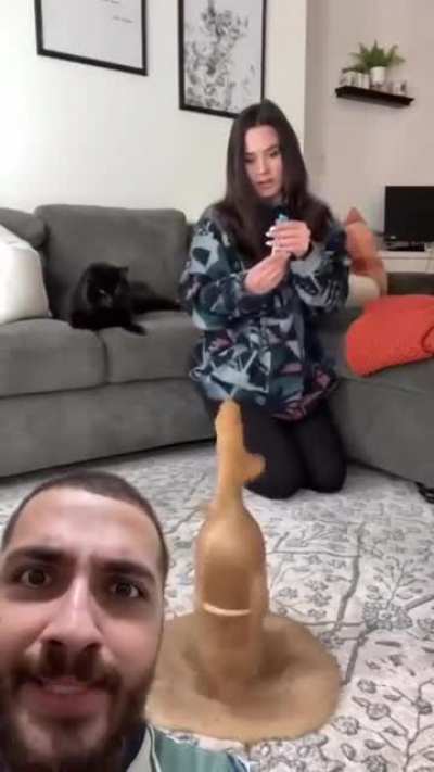 Help, I accidentally the whole Coca Cola