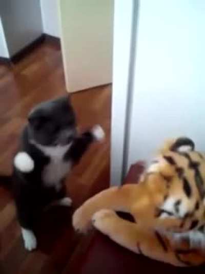 I am the boss here!