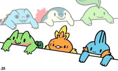 R.I.P Torchic the only starter with no arms