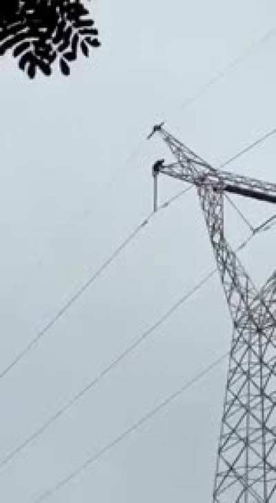 DoV after climbing down a transmission tower?