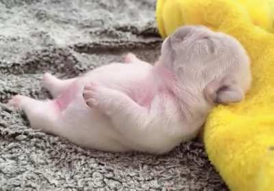 Super cute tummy!!!
