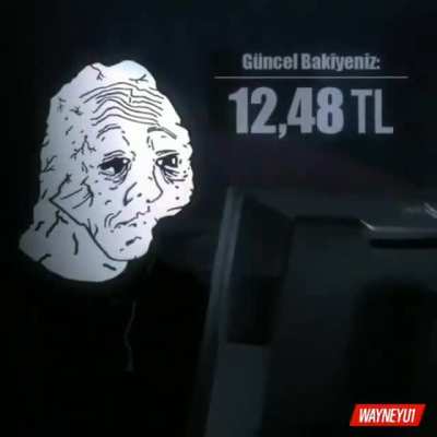 Tıpkısının aynısı