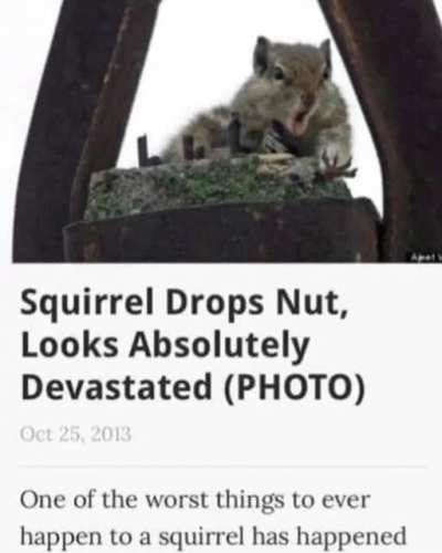 He lost doze nuts