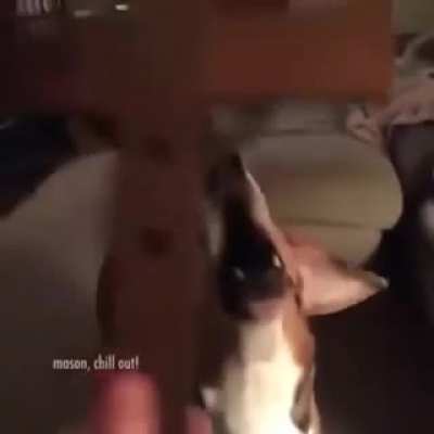 THE POWER OF CHRIST COMPELS YOU