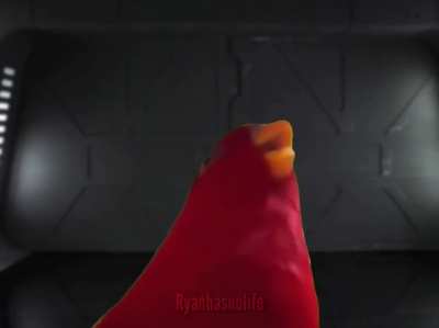 HEY!