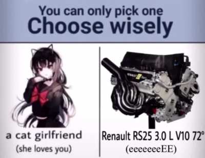 Escoge
