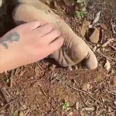 Blursed_feet tickle