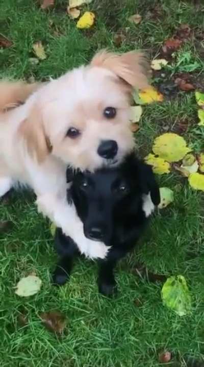 Best friends :)