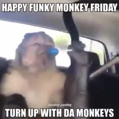 🐒
