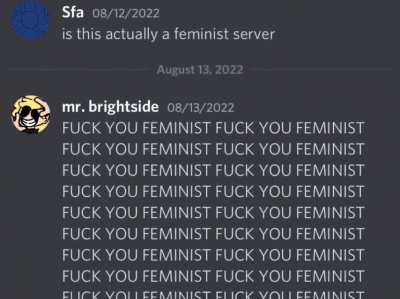 feminists smh