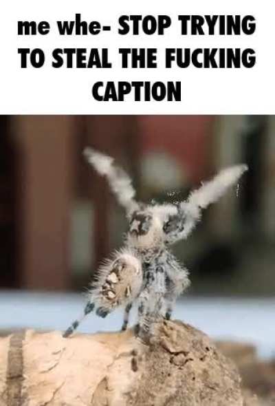 that's mine >:(