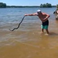 Meanwhile in Florida. (Xpost from r/publicfreakout )