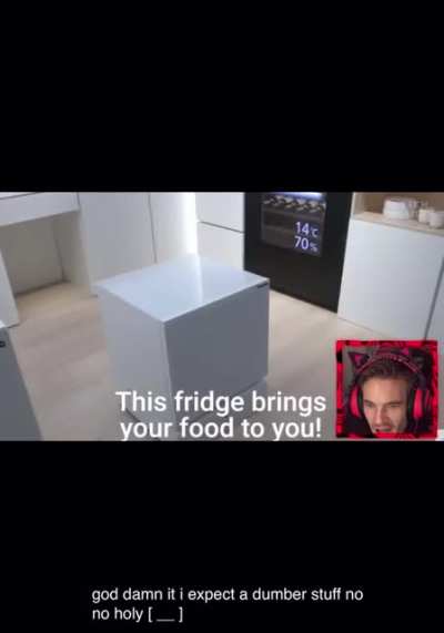 THE FRIDGE MOOOVES