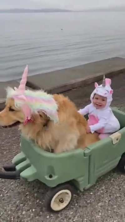 Two unicorns are racing around the capital.