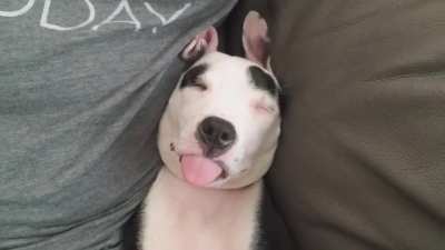Tongue used as a pacifier and snore