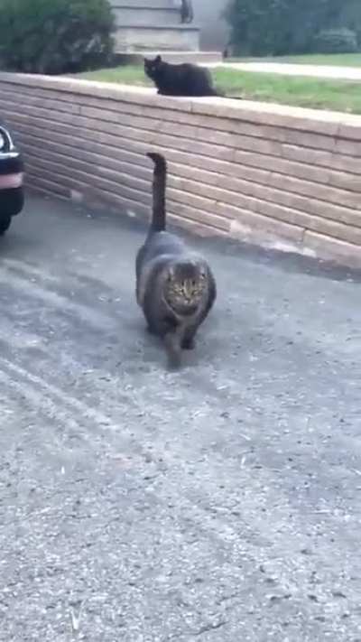 Раскачался.