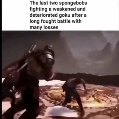 SPOGER BOB WINS