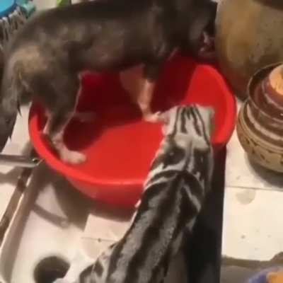 А ну-ка прекрати!