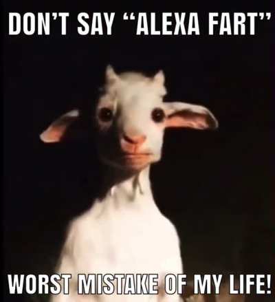 Alex fart!