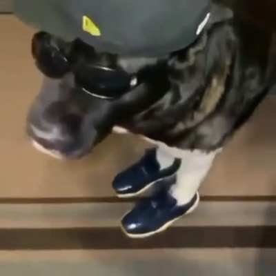 How Kyle feels with his cheap blazers on