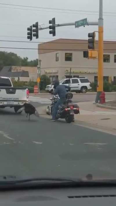 Road rage