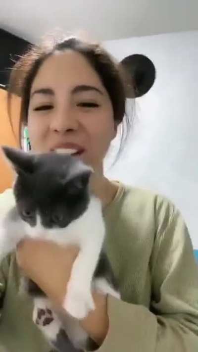 The cats reaction though!