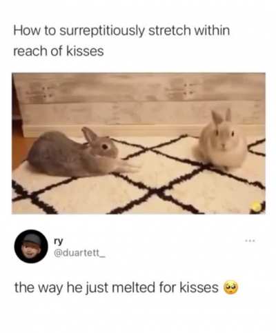 Buny kisses