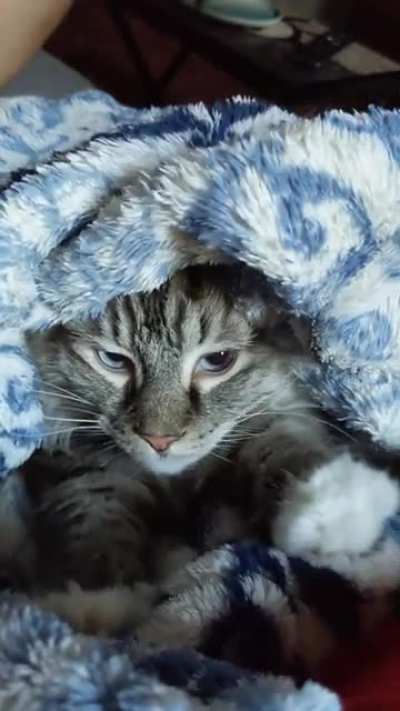 Hanky blanky