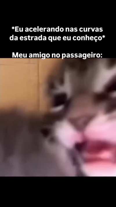 Tinha mais 3 no passageiro