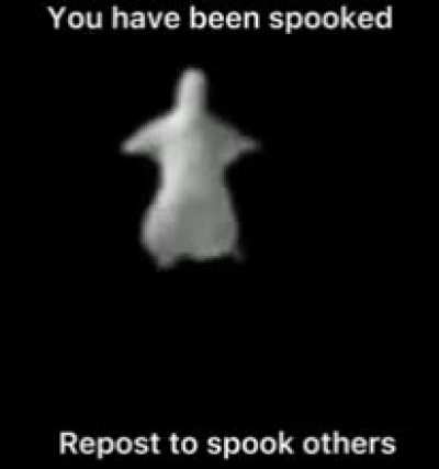 OOGA BOOGA
