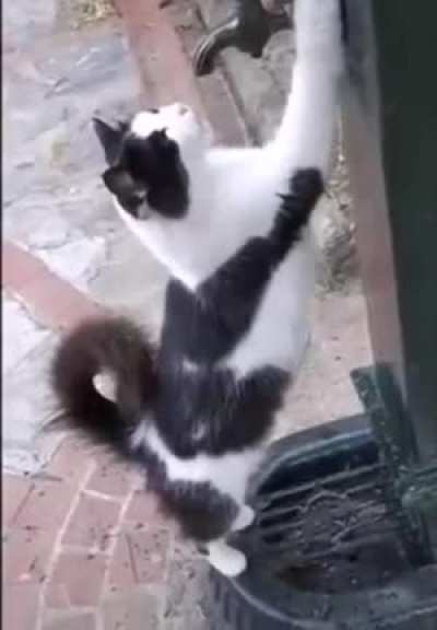 Man turn on some water