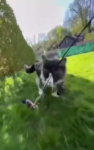 This innovative use of a selfie stick