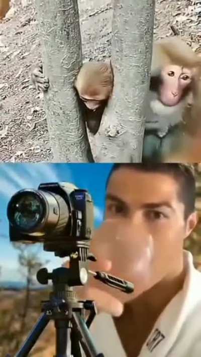 hmmm
