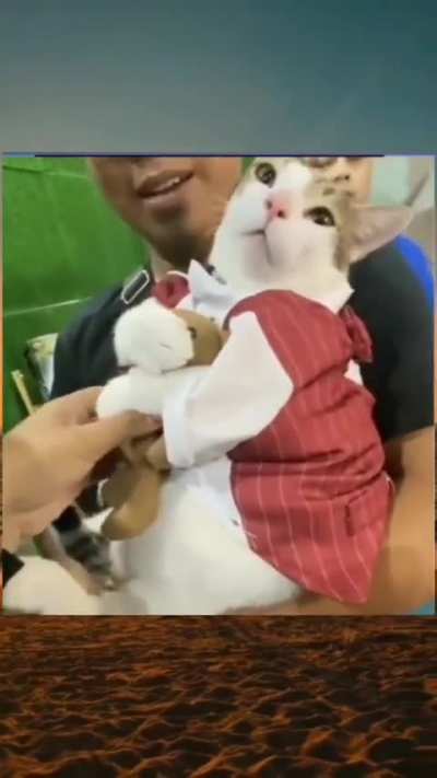 Mano que fofo