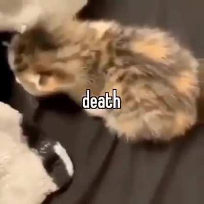 am death