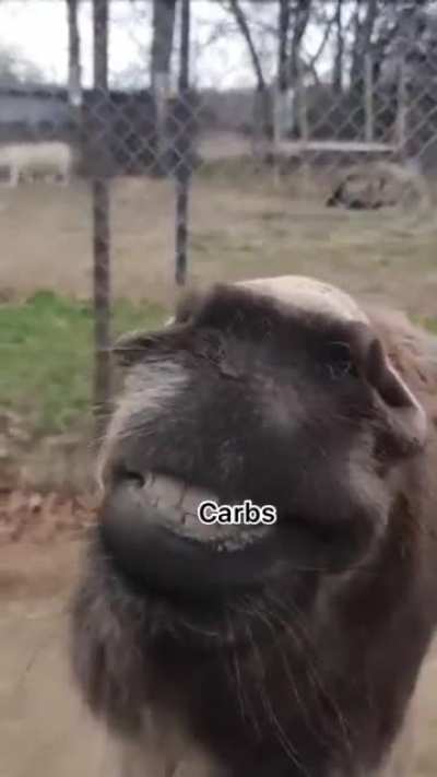 it's a struggle