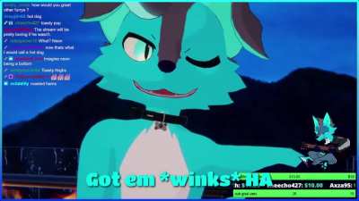 Hotdog_irl