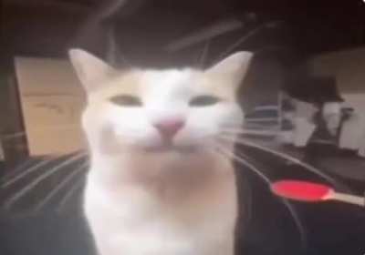 Blehhh