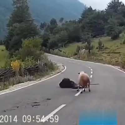 Maybe Maybe Maybe