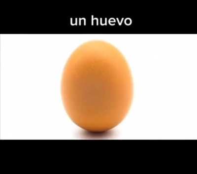 un huevo mis compañeros