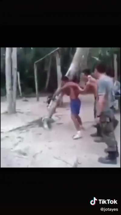 Anaconda de mascota