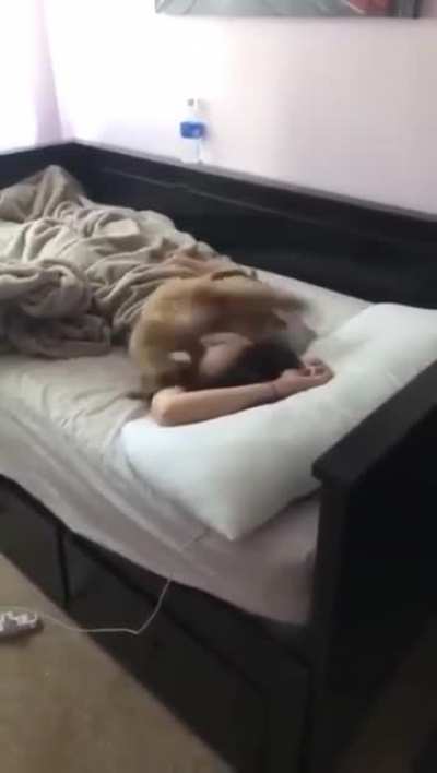 Wake Up