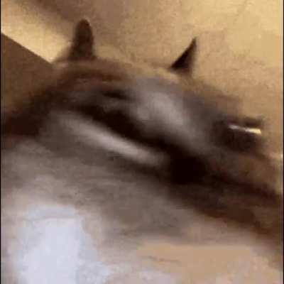 Saejima's street battle theme in Yakuza 4 is actual insanity