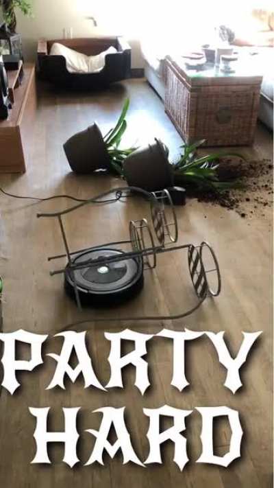 Rip house plants.