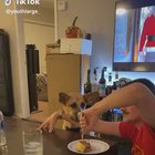 Poor doggie