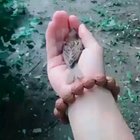 I won't leave you