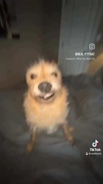 ele é muito lindo