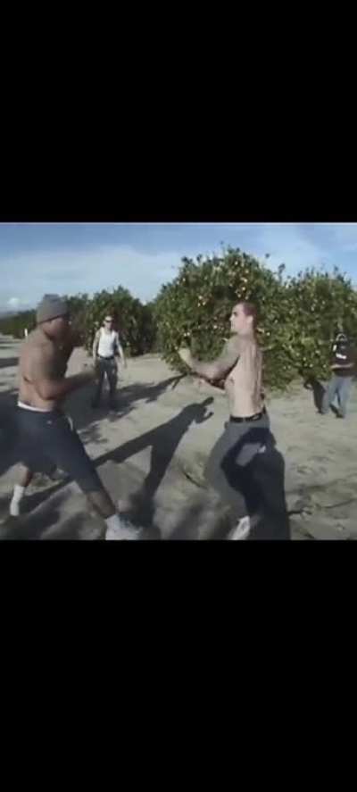 Delinquent fight