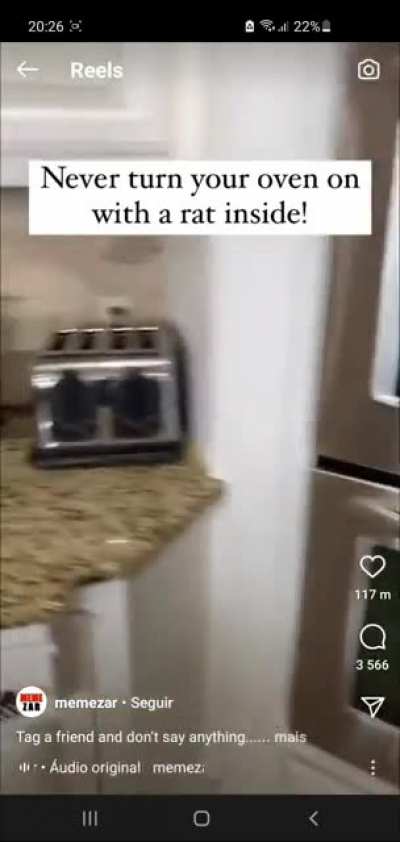 Dinner's ready