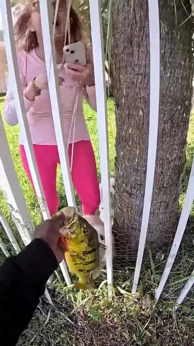 that’s not your property maam!